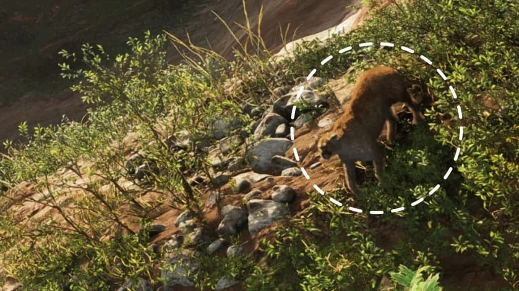 A cougar hunting white-tailed deer near the base of Mount Kalaga in GTA 6
