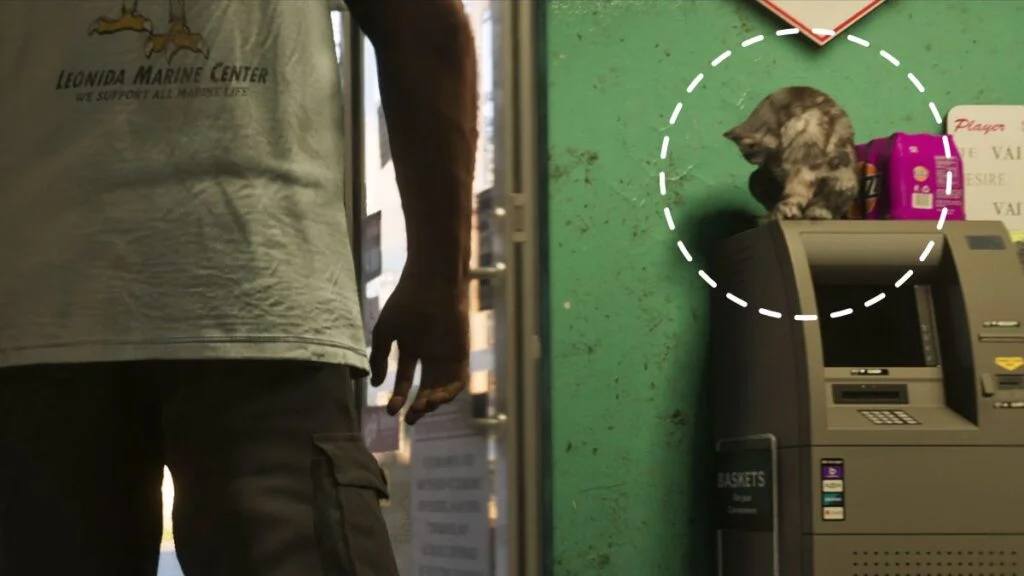 A stray domestic cat sitting outside a convenience store in GTA 6