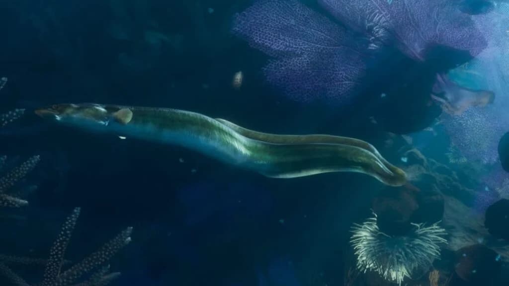 A moray eel hidden inside a coral crevice in GTA 6